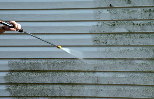 Mold Testing and Removal in Swansboro, NC