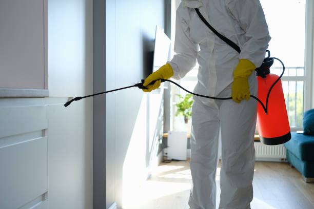 Crawl Space Mold Removal in Swansboro, NC