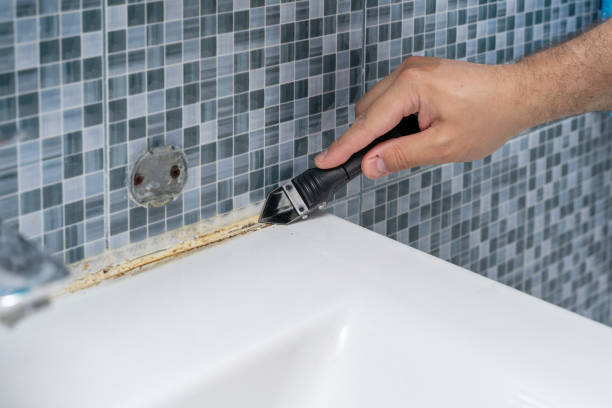 Best Affordable Mold Removal  in Swansboro, NC
