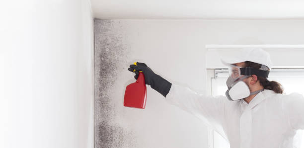 Best Mold Testing  in Swansboro, NC